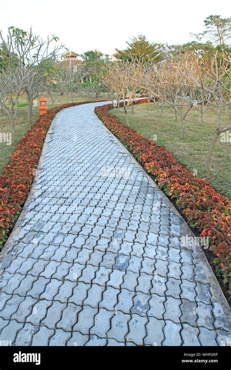 Stone pathway in the garden Stock Photo - Alamy