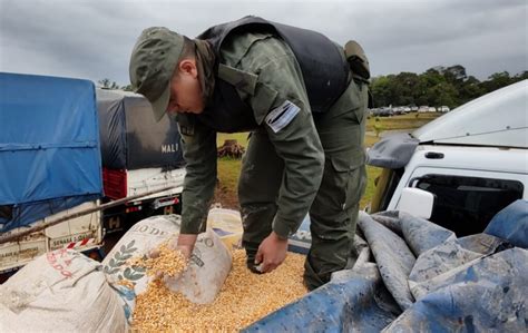 Gendarmer A Detuvo Un Cami N Que Transportaba Toneladas De Granos De