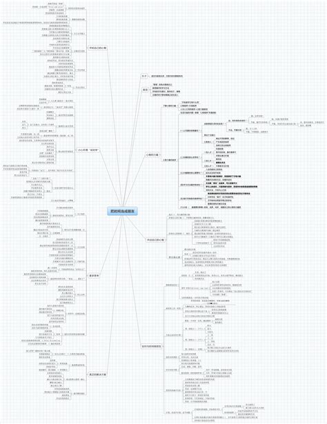 Xmind Mind Mapping App