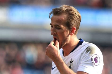 Epl Ibrahimovic Reveals Why Kane Should Dump Tottenham Daily Post