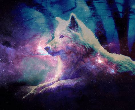 [100+] Cute Wolf Wallpapers | Wallpapers.com