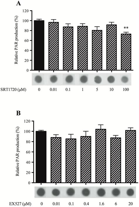 Dose Effect Of A SRT1720 A SIRT1 Activator And B EX527 A SIRT1