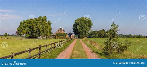 Traditional Dutch Farm With Trees Stock Image Image Of Environment