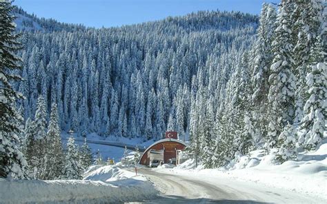 Ilgaz Da Milli Park Kampp