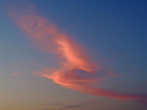 Firebird Cloud Photograph By Lindy Pollard Fine Art America