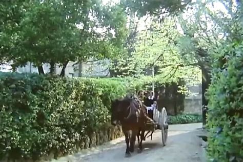 Lina Romay Porn Videos 2025 Porn Star Sex Scenes XHamster