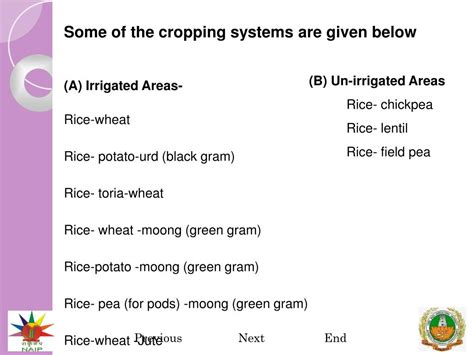 Ppt Inter And Sequential Cropping Crop Rotation In Rice Powerpoint Presentation Id5100431