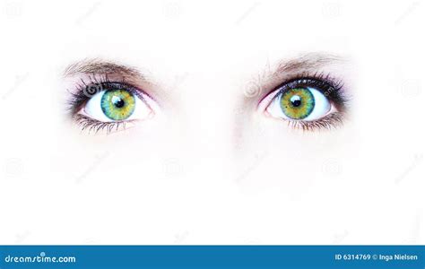 Two Green Eyes Royalty Free Stock Images - Image: 6314769