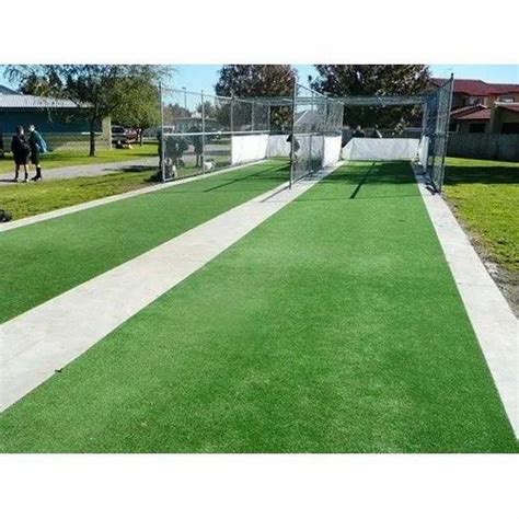 PVC Artificial Cricket Pitch Grass at Rs 60/square feet in Nashik | ID ...