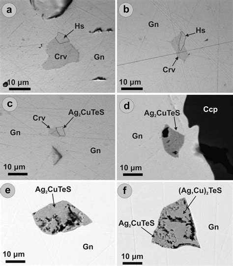 Representative Reflected Light And Sem Photomicrographs Of The