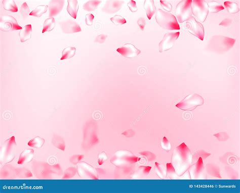 Pink Cherry Blossom Petals Isolated Stock Vector Illustration Of Love