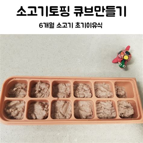 6개월아기 초기이유식 소고기토핑이유식 큐브만들기 꿀팁 Feat소고기알레르기 네이버 블로그