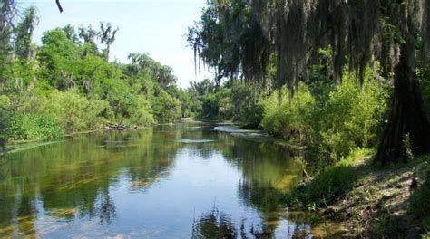 Visit Zolfo Springs: 2024 Travel Guide for Zolfo Springs, Florida | Expedia