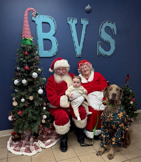 Bucyrus Veterinary Services | Bucyrus OH