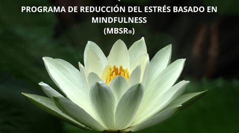 PROGRAMA DE REDUCCIÓN DEL ESTRÉS BASADO EN MINDFULNESS MBSR Natalia