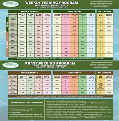 Autoflower Hydroponic Nutrient Schedule