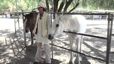 Best Of Silver Horse Healing Ranch 2013 Youtube