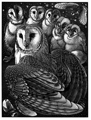 Parliament Of Owls Colin See Paynton Wood Engraving Bianco E Nero