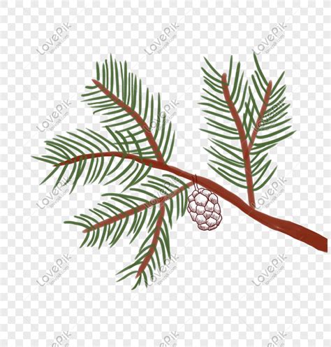 Pine Tree Branch Clip Art