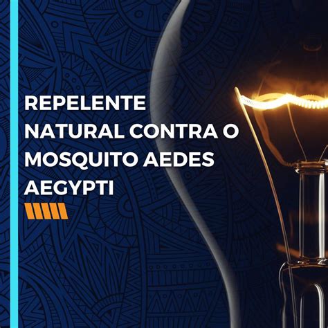 Marandu Repelente Natural Contra O Mosquito Aedes Aegypti