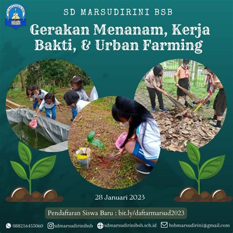 Gerakan Menanam Kerja Bakti Dan Urban Farming SD Marsudirini BSB