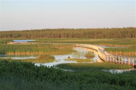 Prince Edward Island National Park - All You Need to Know Before You Go ...