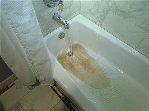 Understanding Discolored Water In Your Home Nonprofit Home Inspections