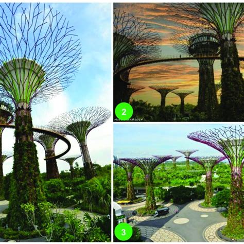 Gardens By The Bay How Many Trees Fasci Garden