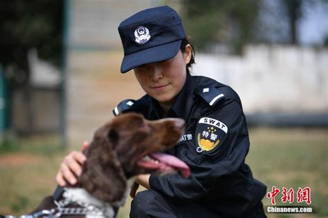 昆明铁路警方的训犬警花 手机凤凰网