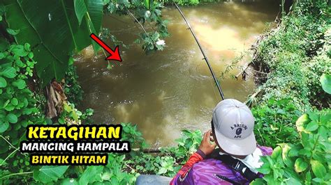 Seperti Inilah Serunya Mancing Ikan Hampala Kali Sumberkerang YouTube