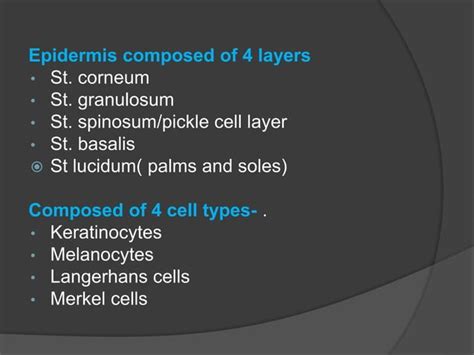 1. Basic structures and functions of skin