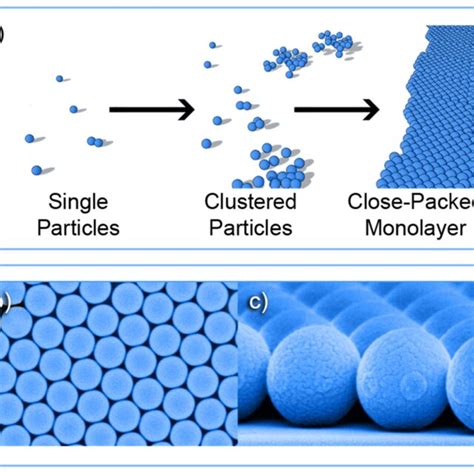 A Illustration Of The Self Assembly Of Colloidal Particle Structures