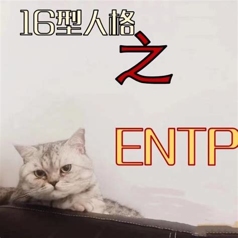 Entp女生为什么罕见 知乎