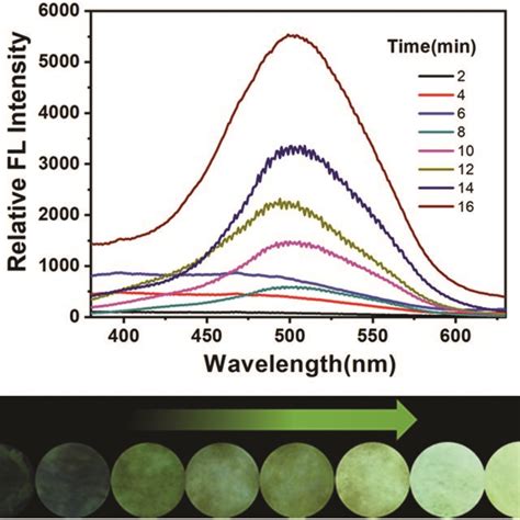 Time Dependent Fluorescence Spectra Of Dpec 30 μm Test Paper After