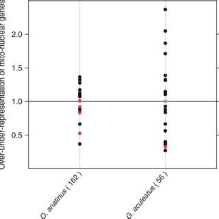Bias Of Nuclearmitochondrial Genes On The Sex Chromosomes Across G