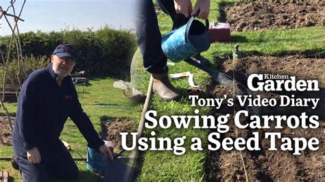 Sowing Carrots Using Seed Tape Tonys Video Diary Youtube