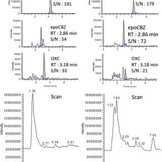 LC MS Analysis In Scan Mode And In MRM Mode Of The Elution Fraction