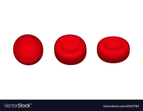 Red Blood Cells Set On White Background Royalty Free Vector