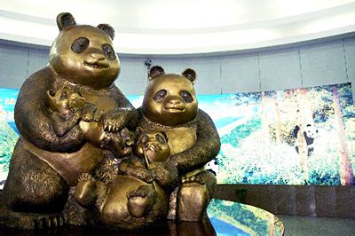 Wolong Giant Panda Museum, Wolong Giant Panda Museum Chengdu, Wolong ...