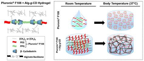 Gels Free Full Text Self Healing Supramolecular Hydrogels Based On