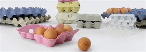 Egg Boxes Cartons And Trays