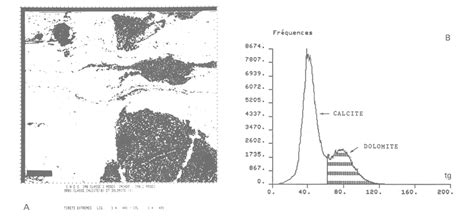 Echantillon Orbi A Seuillage Bimodal Calcite Dolomite Blanc