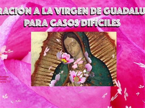 La poderosa oración a la Virgen de Guadalupe para superar dificultades