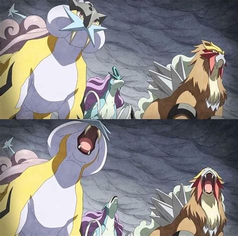 The Legendary Beasts in Pokemon Generations | Pokemon entei, Pokemon ...