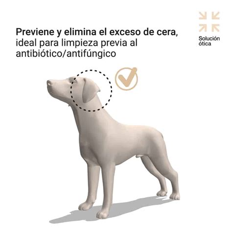 Comprar Petia Soluci N Otica Limpieza De Oidos De Perros Y Gatos