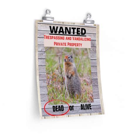 Columbian Ground Squirrel Wanted Poster Trespassing And Vandalizing Private Property Premium