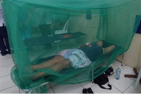 Dengue qué es y cuáles son los síntomas de la epidemia que genera