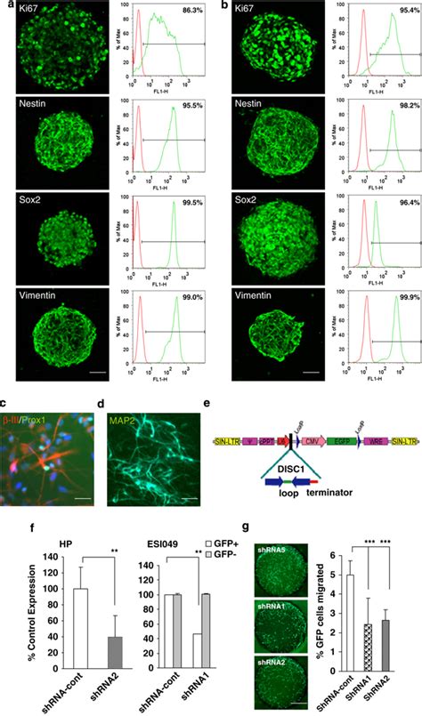 Representative Confocal Photomicrographs And Flow Cytometry Graphs Of Download Scientific