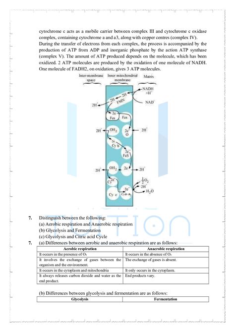 Ncert Solutions For Class Biology Chapter Respiration In Plants