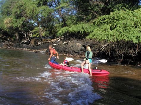 South Maui Whale Watch Kayaking And Snorkel Tour In Kihei Getyourguide